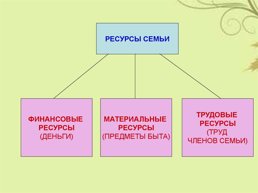 Ресурсы семьи. Трудовые ресурсы семьи. Технологические ресурсы семьи. Материальные ресурсы семьи.