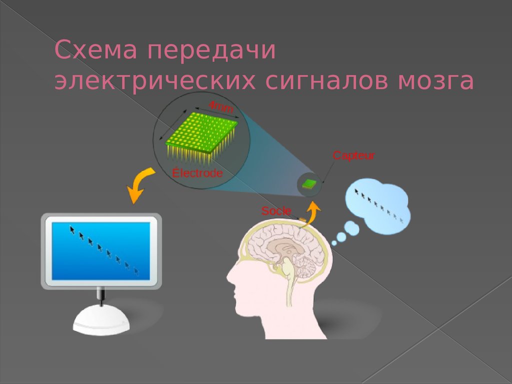 Информация и электрические сигналы. Схема передачи электрического сигнала. Схема передачи электрических сигналов мозга. Считывание сигналов мозга. Мозг схема электрических сигналов.