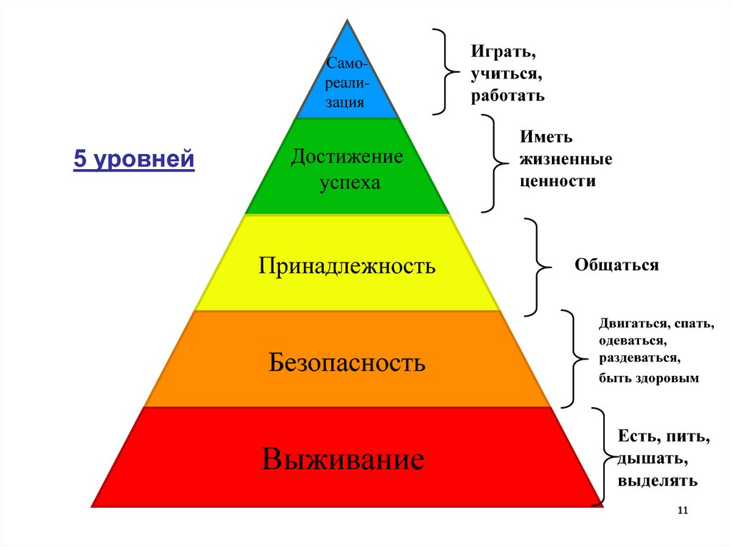 Воспитание потребностей