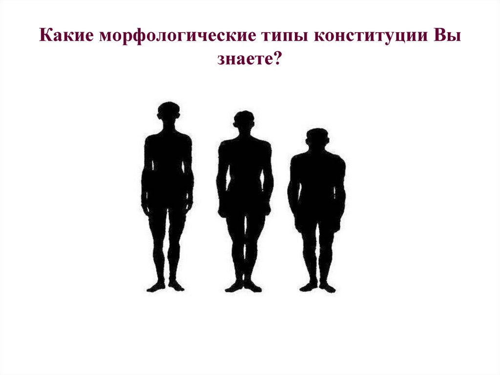 Конституция человека. Типы Конституции человека. Морфологические типы Конституции. Конституция человека морфологические типы Конституции. Морфологические конституциональные типы..