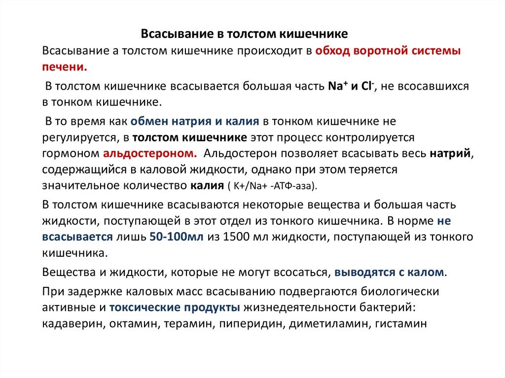 В толстом кишечнике всасывается большое количество