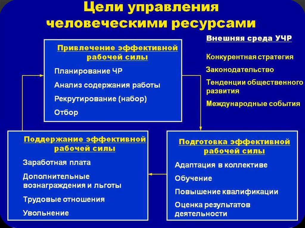 Управленческих целей. Цели системы управления человеческими ресурсами организации. К общим целям управления человеческими ресурсами относятся. Цели управления человеческими ресурсами. Цель и задачи управления человеческими ресурсами.