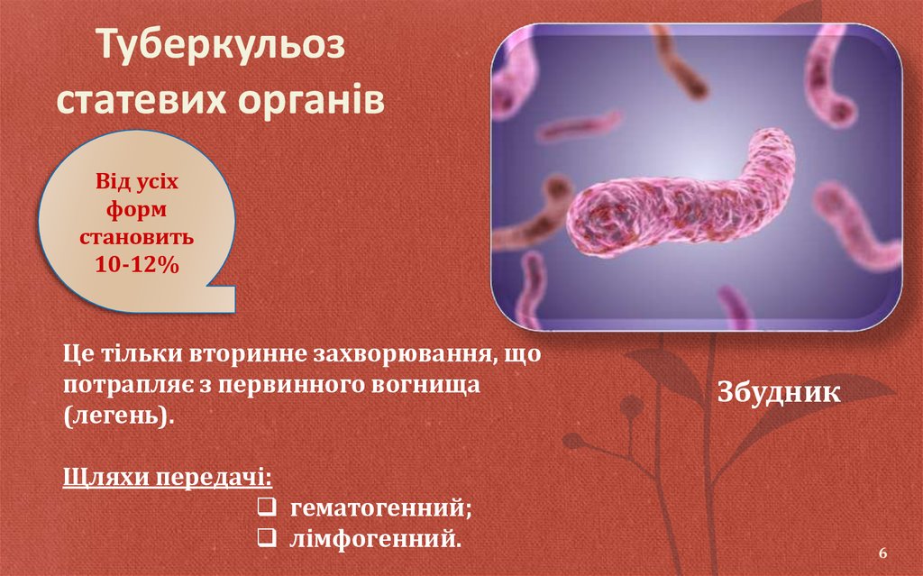 Туберкульоз статевих органів