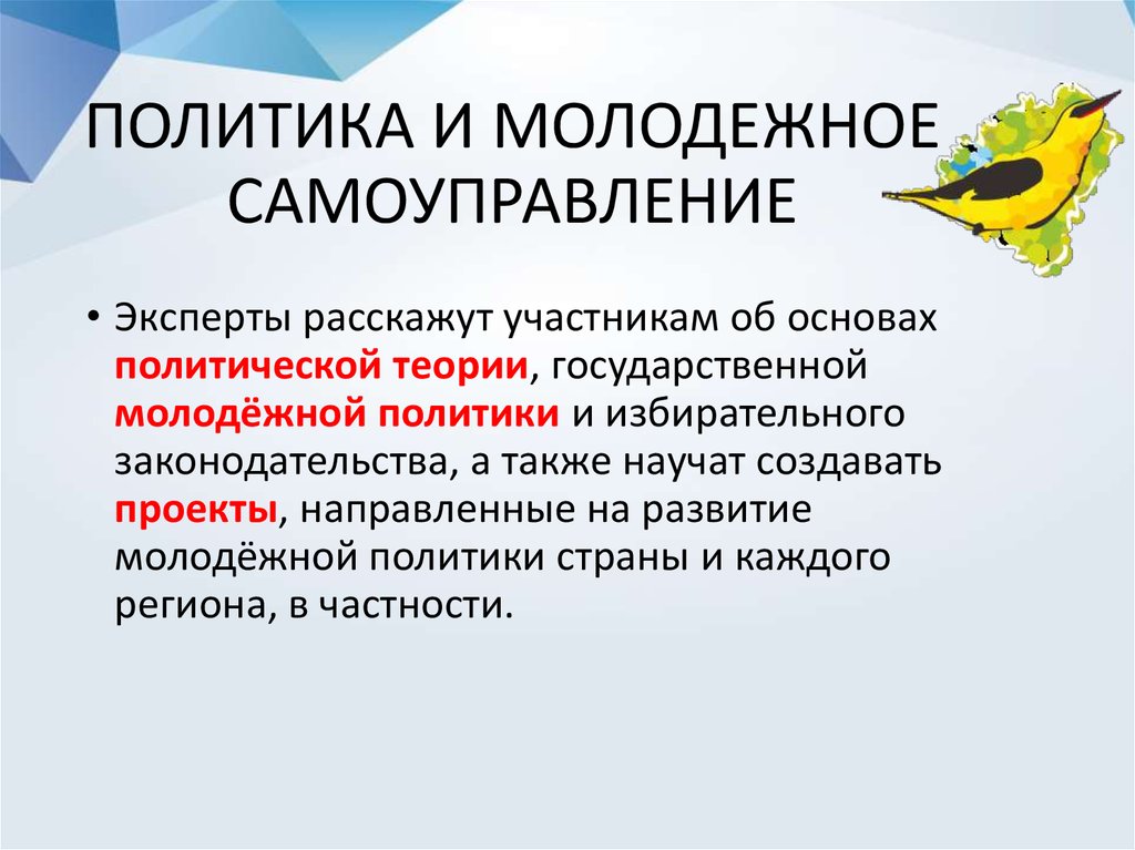 Органы молодежного самоуправления