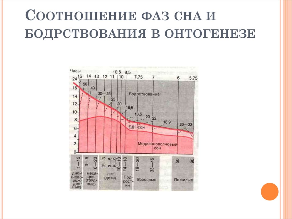 Рассчитать фазу сна. Сон в онтогенезе фазы сна. Фаза бодрствования и фаза сна. Уравновешивание сна и бодрствования.