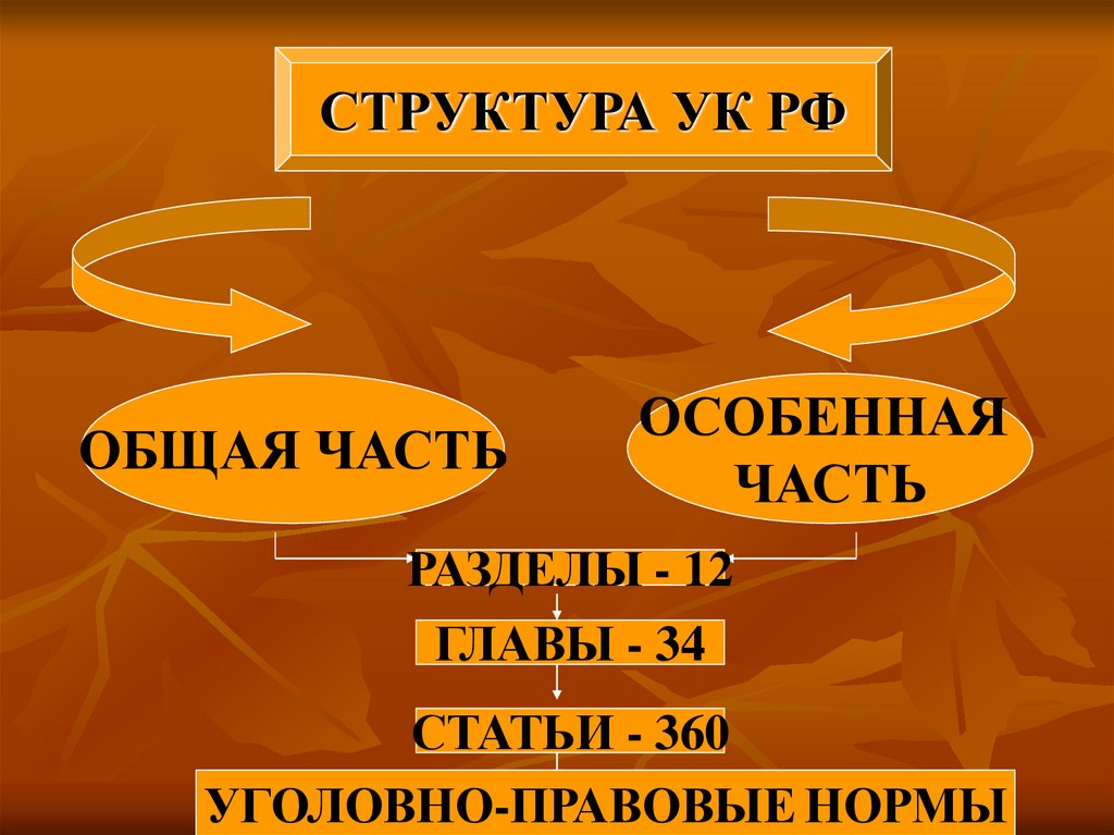 Структура норм особенной части