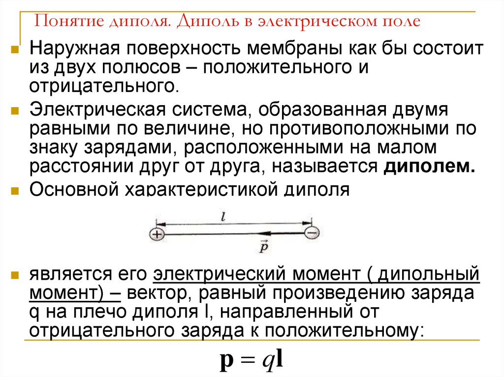 Электрический диполь. Понятие электрического диполя. Электрическое поле диполя. Электрический диполь в электрическом поле.