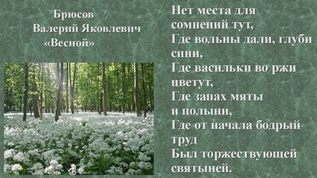 Анализ стихотворения брюсова первый снег 7 класс по плану кратко