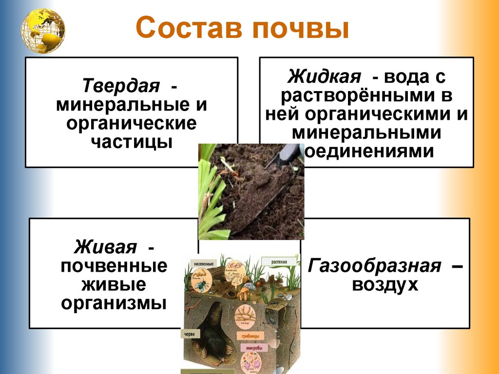 Состав горной почвы