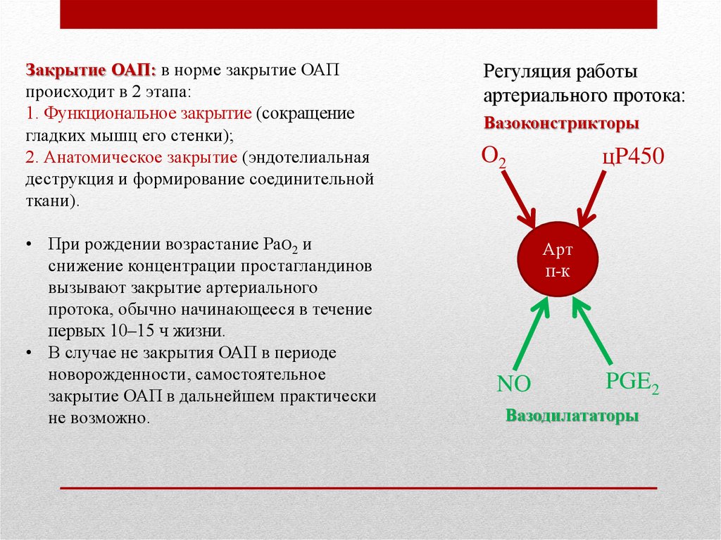 Закрытие артериального протока происходит. Закрытие артериального протока. Открытый артериальный проток мкб 10. Анатомическое закрытие артериального протока происходит. Нормы закрытия фетальных коммуникаций.