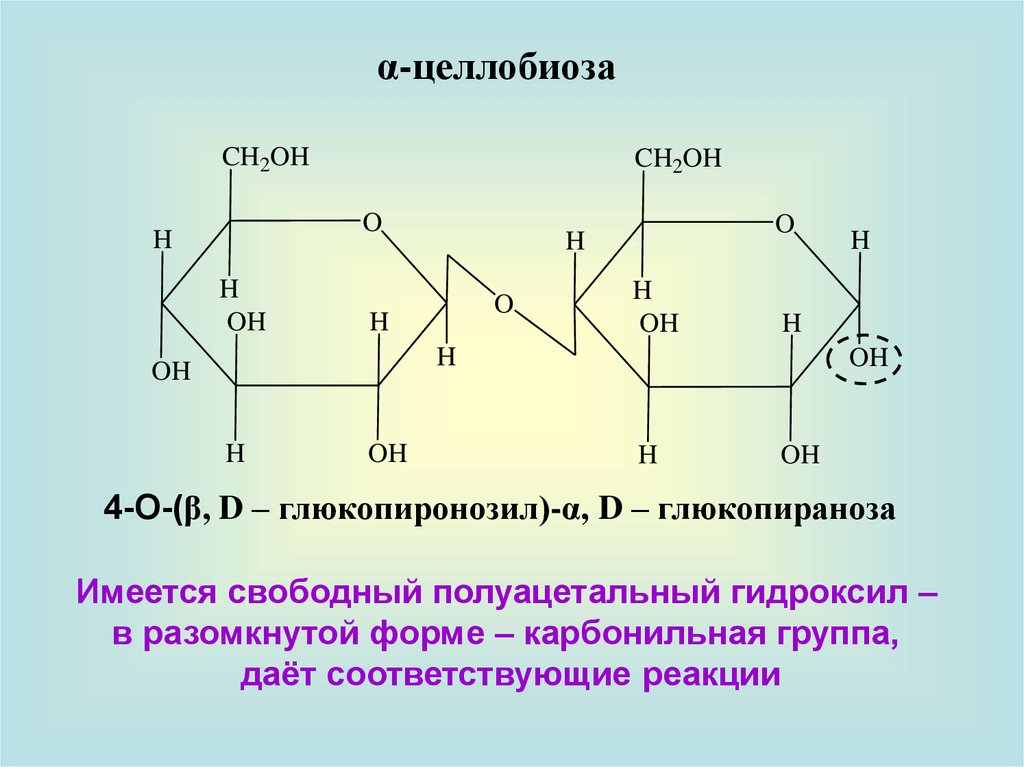 Целлобиоза формула. Α-целлобиоза. Целлобиоза формула Фишера. Целлобиоза hno3. Циклическая форма Целлобиозы.