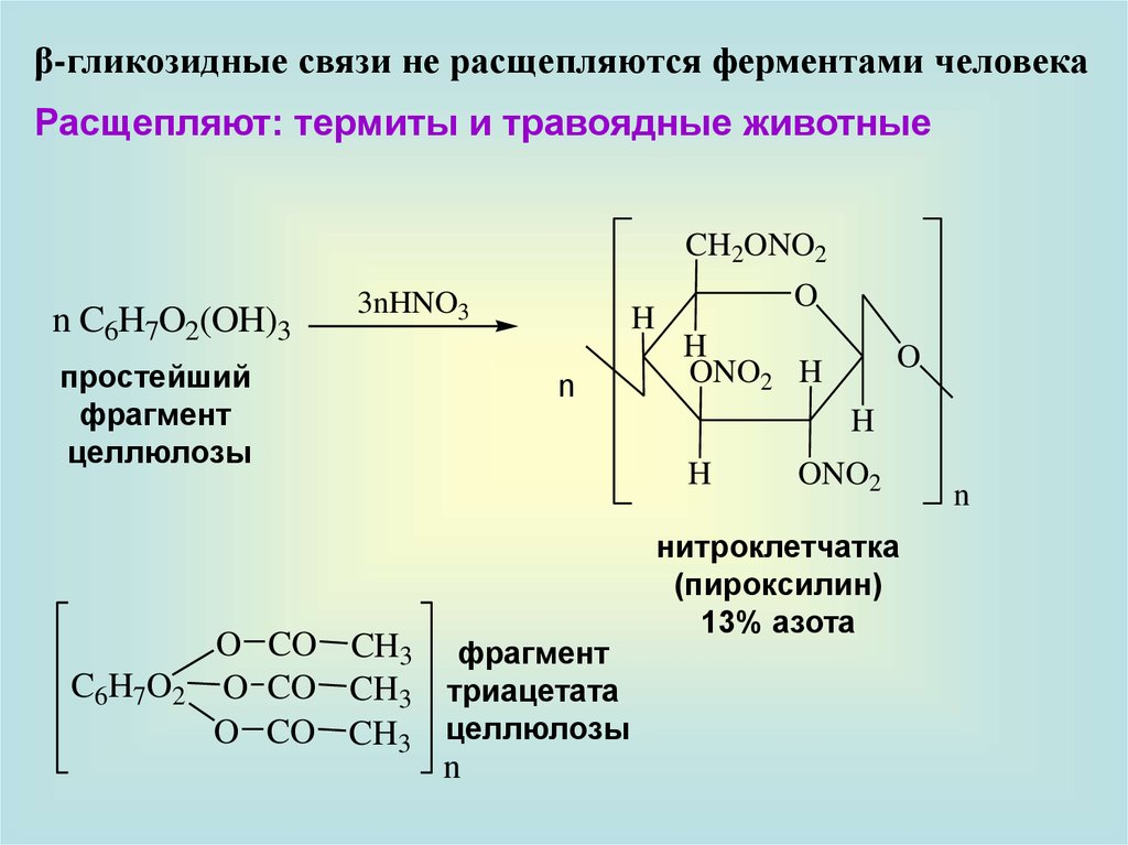 Целлюлоза связи. Триацетат целлюлозы схема. Гликозидные связи в целлюлозе. Синтез триацетата целлюлозы.