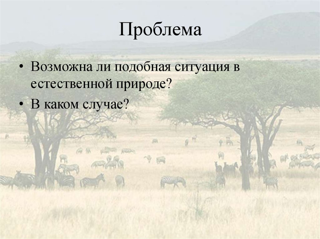 Природные зоны индии. Кластер природные зоны Африки. Природные зоны Африки вывод. Интересные факты о природной зоны Африки. Природы иные зоны Африки.