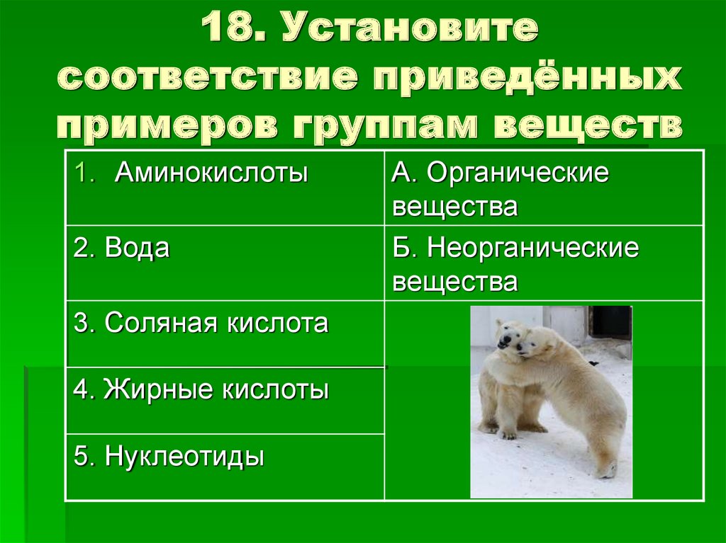 Установите соответствие организма. Установите соответствие органические вещества. Привести примеры групп веществ. Соответствие органическое вещество неорганическое вещество. Установить соответствие группами органических веществ.