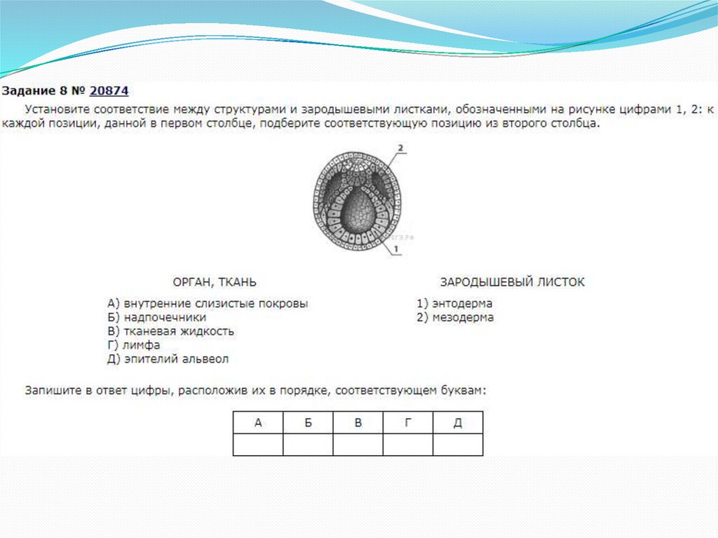 Установите соответствие между структурами