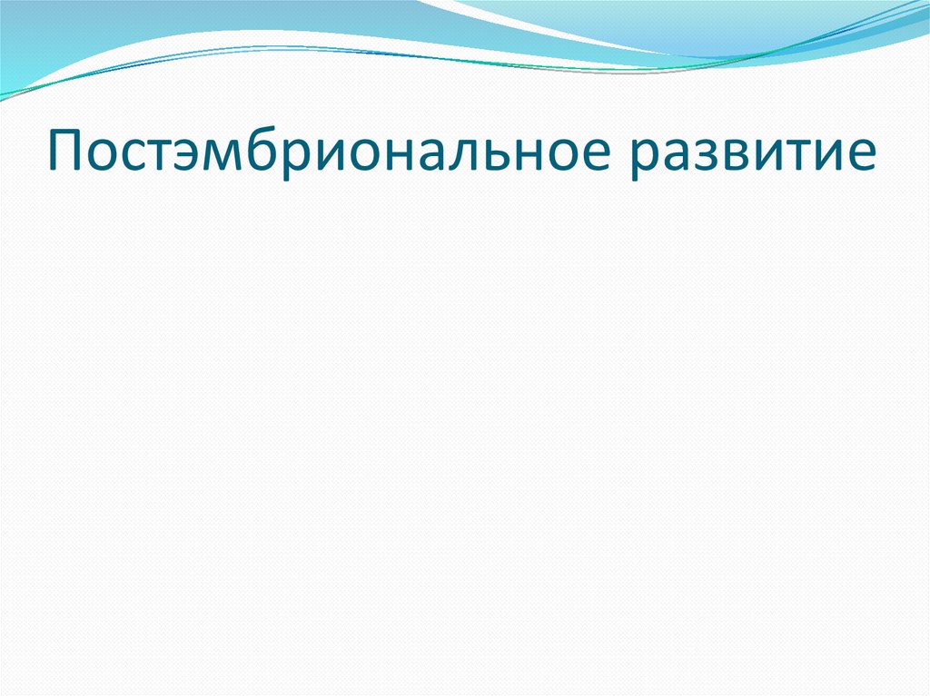 Постэмбриональное развитие