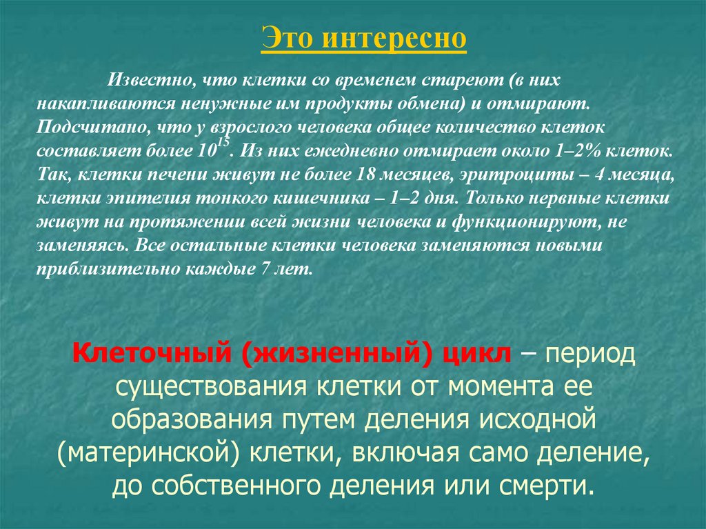 Исходные клетки это. Клетки образуются путем деления материнской клетки. Клетка происходит только путём деления материнской клетки. Все клетки образуются из клетки путем деления. Новые клетки образуются из.