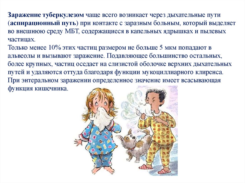 Патогенез туберкулеза - презентация онлайн