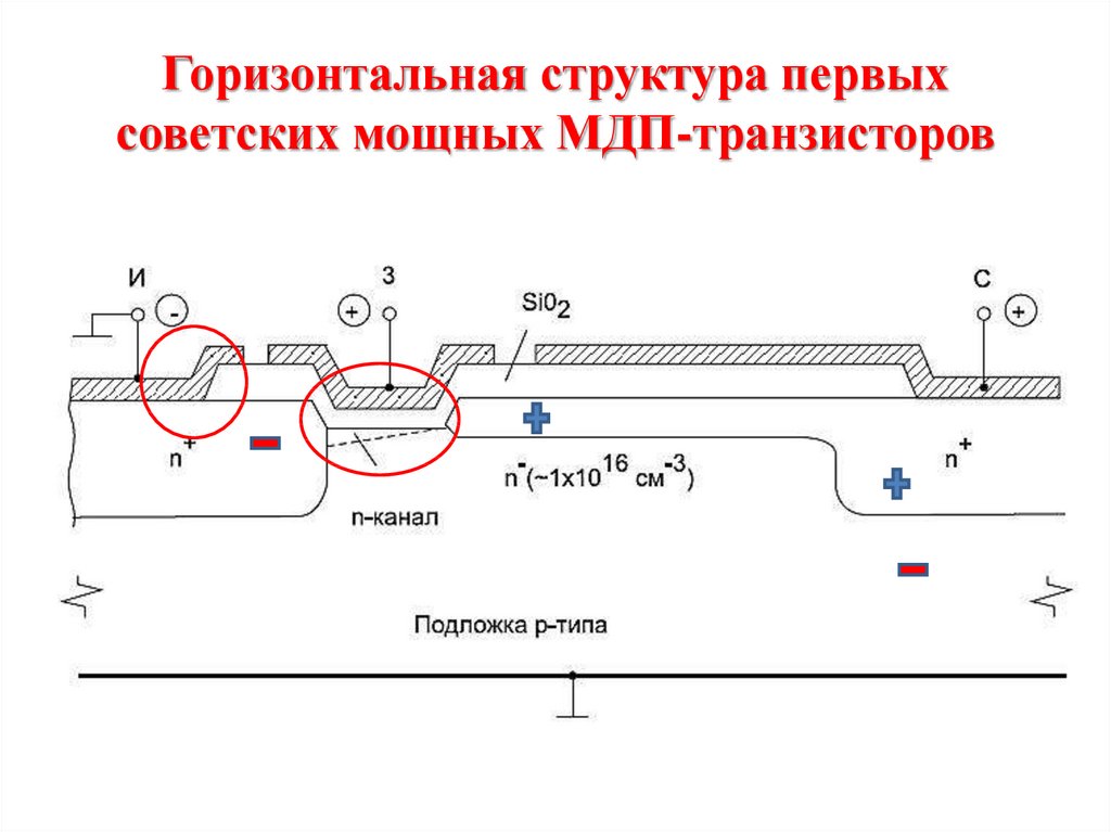 Горизонтальная структура