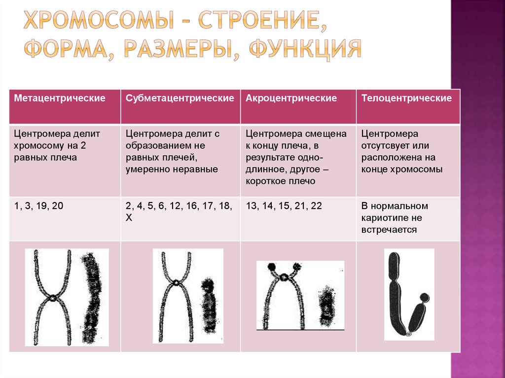 Функция размерности