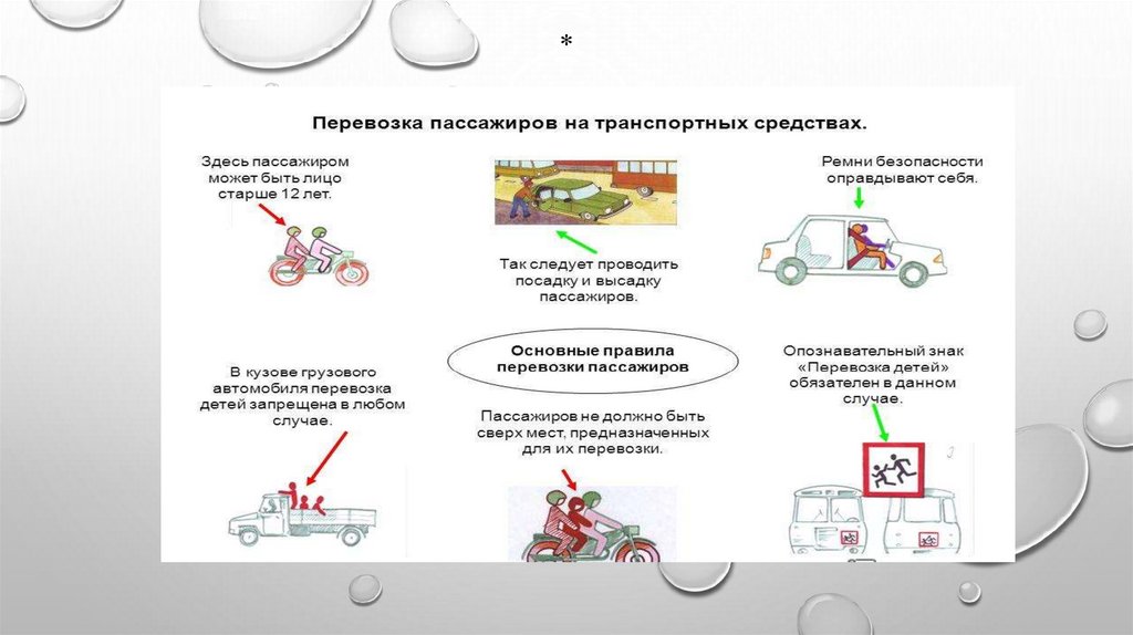 Перевозка людей и грузов пдд презентация