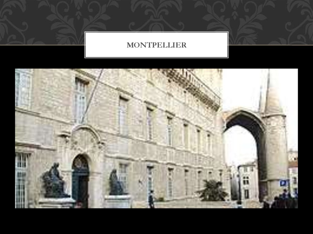 montpellier
