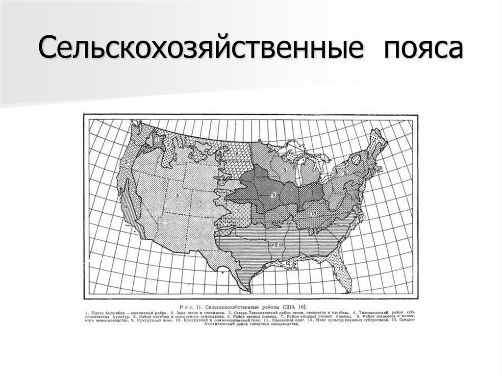 Государственный строй сша презентация