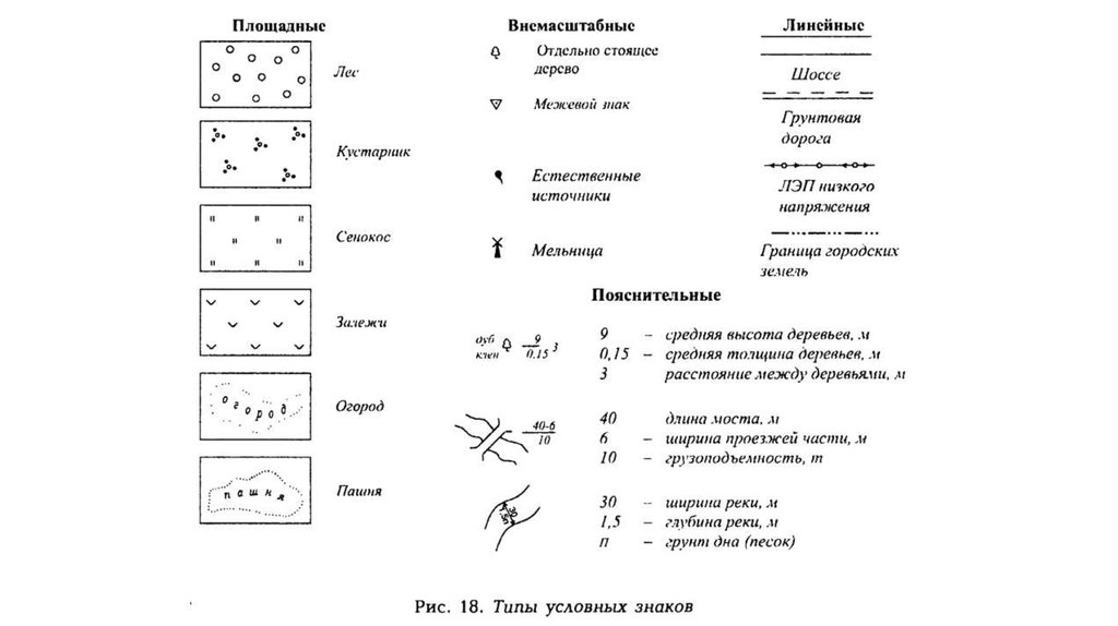 Как обозначается лес на плане местности