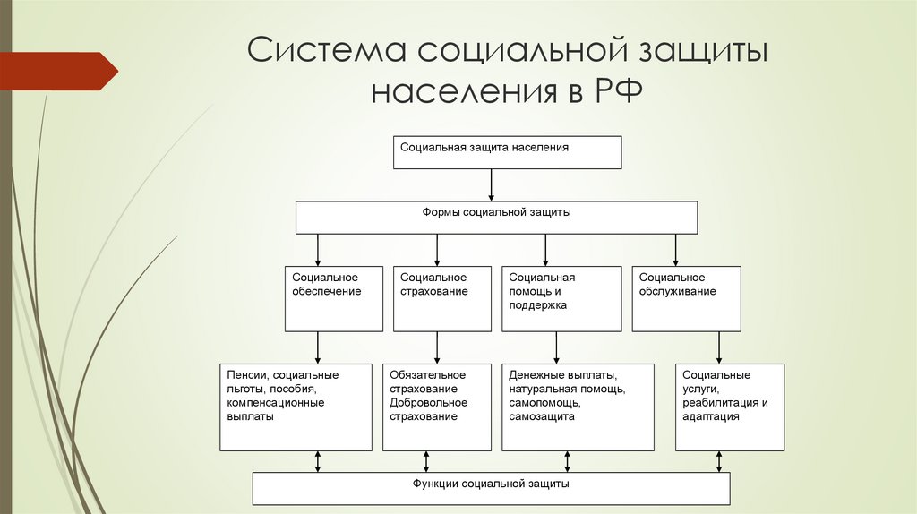 Основы системы социальной защиты населения