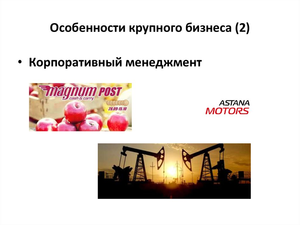 Особенности крупного бизнеса (2)