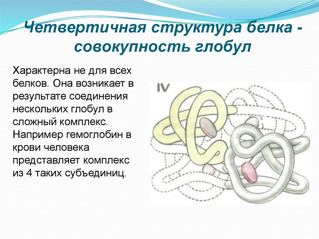 Четвертичная структура белков