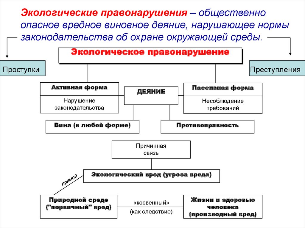 Экологические права презентация