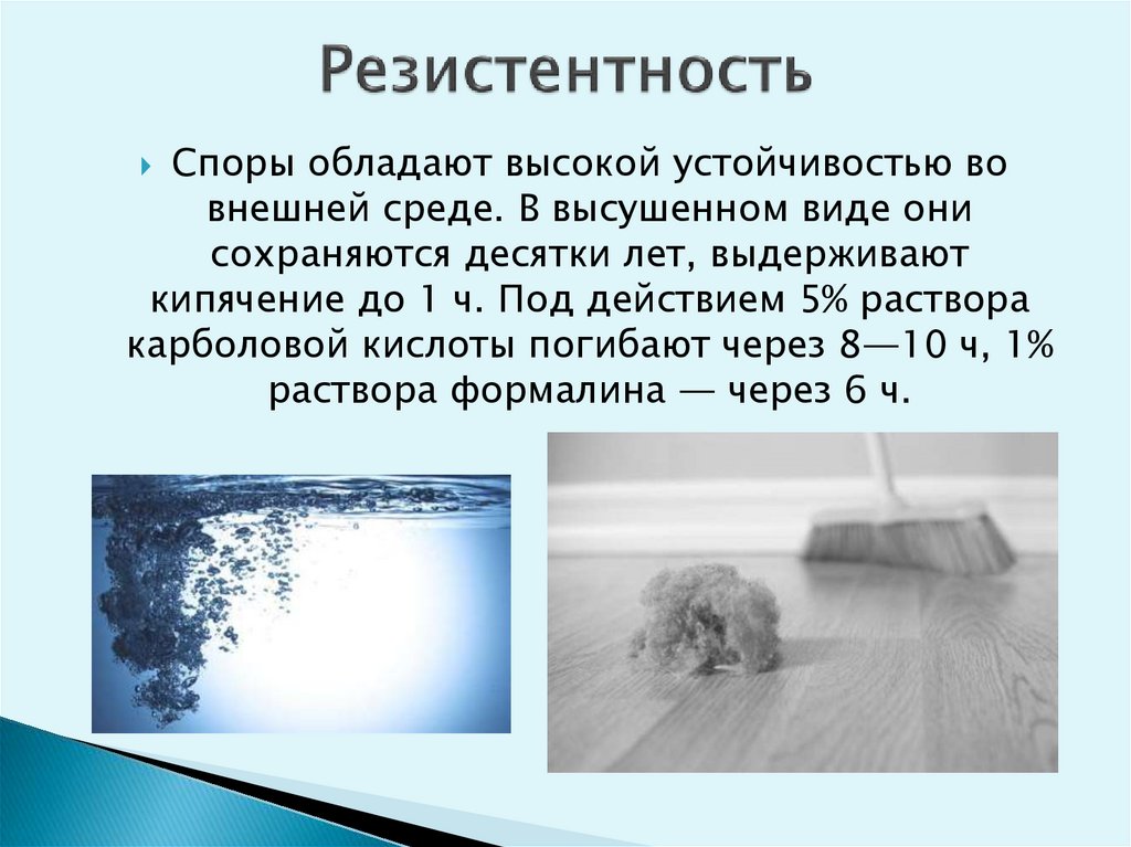 Резистентность