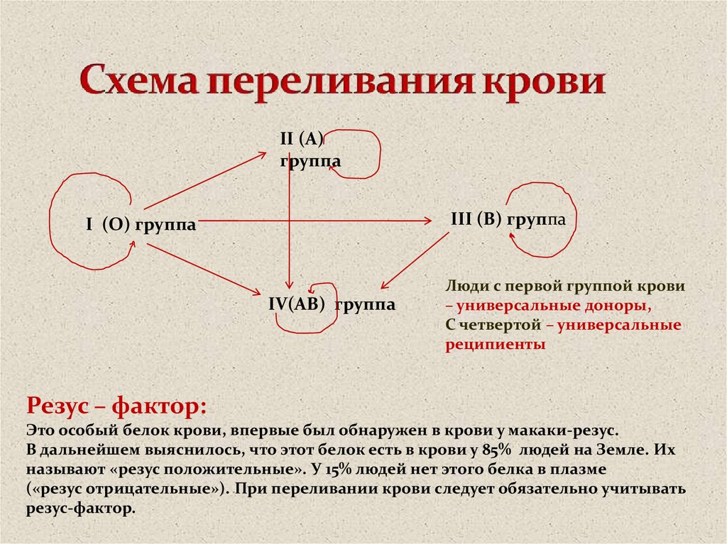 Схема переливания крови биология 8 класс биология