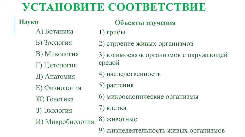 Установите соответствие