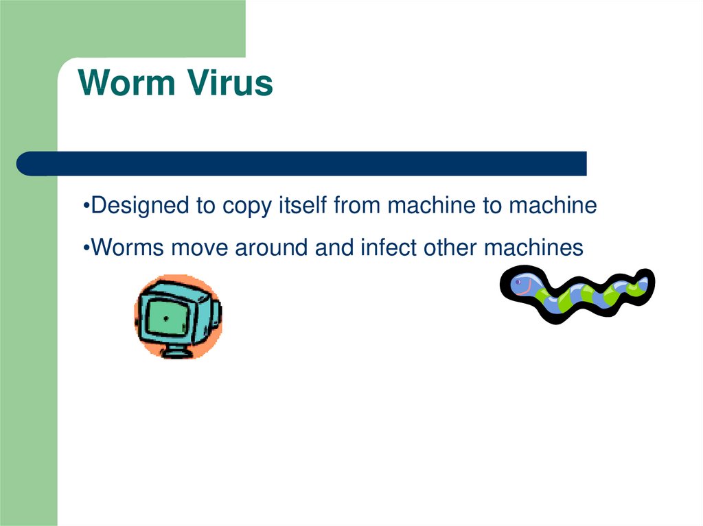 Worm Virus