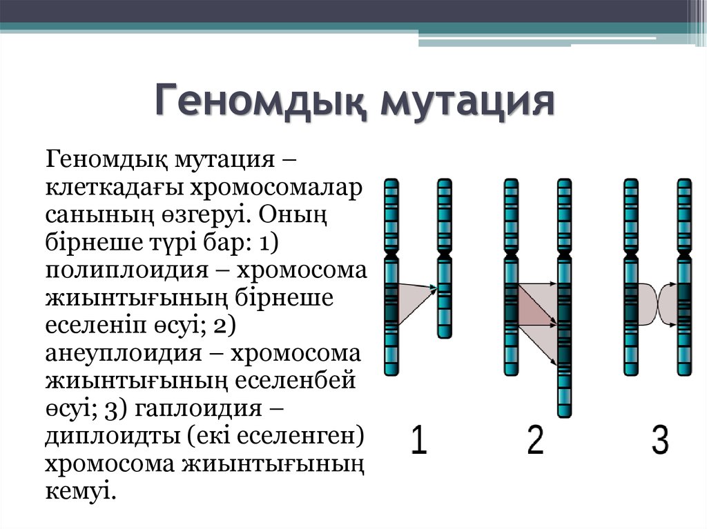Хромосомные мутации методы генетики. Мутация презентация қазақша. Хромосома. Геномдық мутация. Хромосомалық мутация.