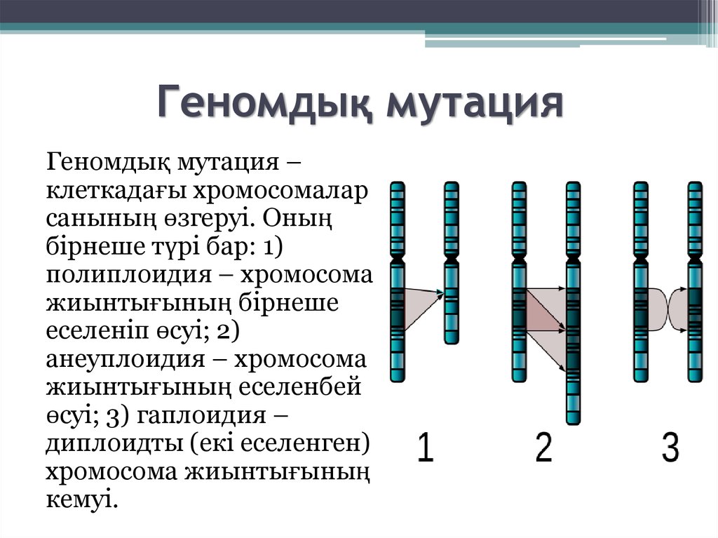 Мутация презентация казакша