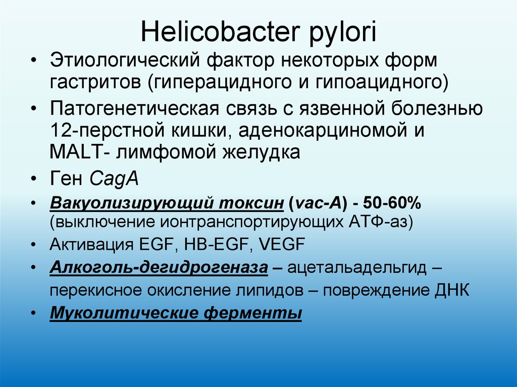 Alimentación helicobacter pylori