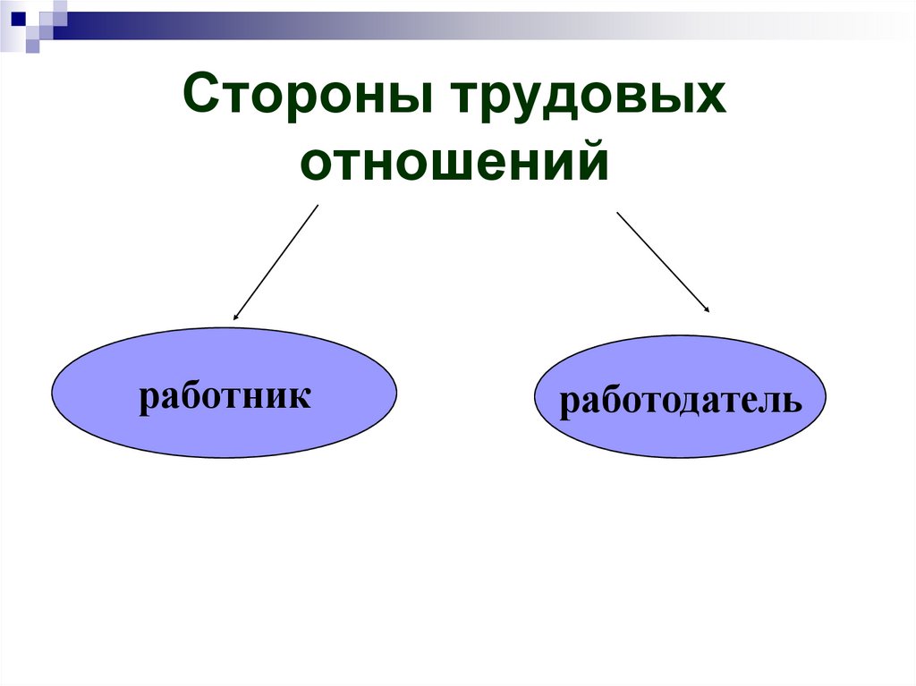 Трудовые правоотношения картинки