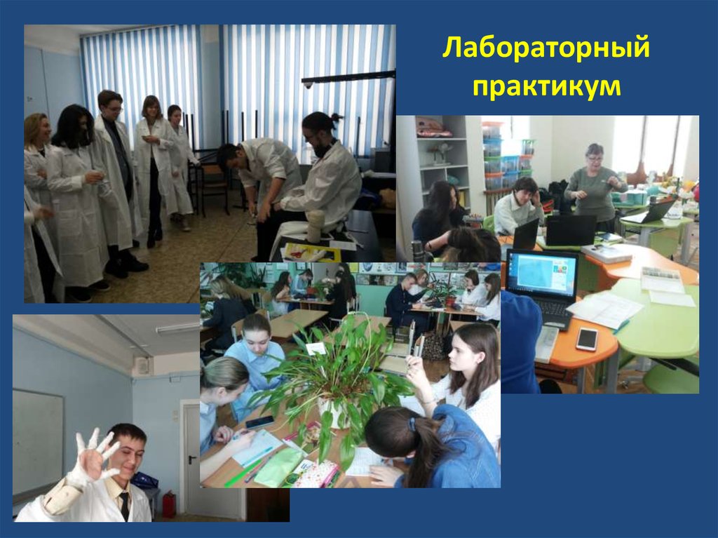 Лабораторный практикум