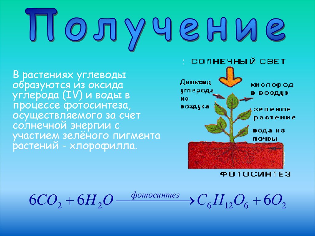 Образуются углеводы из углекислого газа и воды. Фотосинтез растений. В процессе фотосинтеза образуются углеводы. Углерод образуется в процессе. Углеводы в процессе фотосинтеза образуются из.