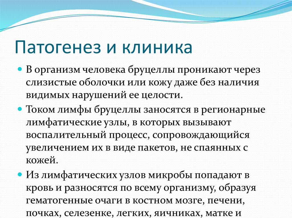 Бруцелла. Бруцеллез. Микробиология - online presentation