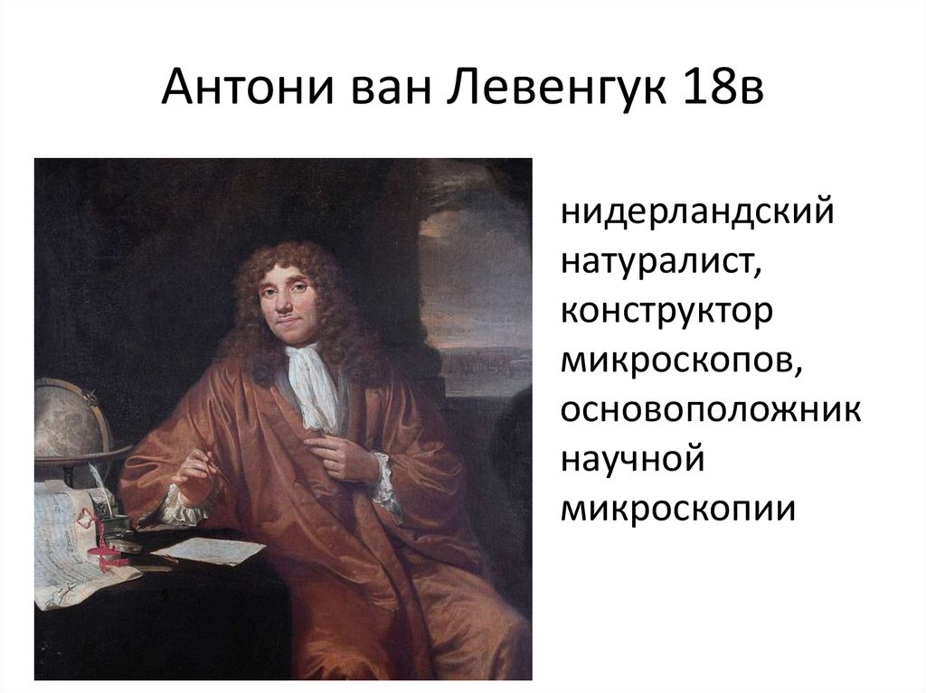 Нидерландский натуралист. Антони Ван Ле́венгук. Научные открытия Антоний Левенгук. Левенгук вклад в биологию. Антони Ван Левенгук открытия в биологии.