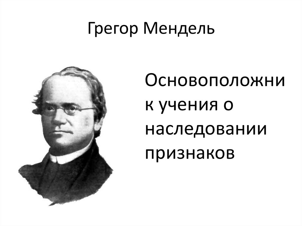 Ученые биологи. Известные ученые биологи. Великие биологи 19 века. Ученые биологи 17-18 века.