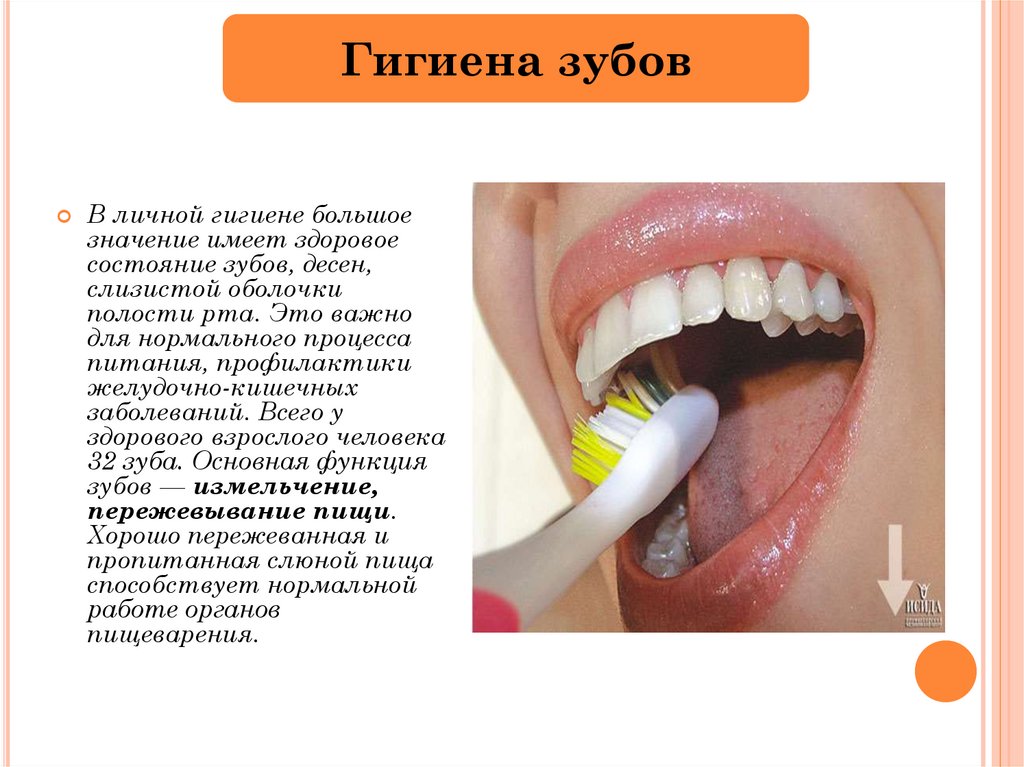 Сообщения полости рта. Гигиена зубов и ротовой полости. Личная гигиена зубов. Гигиена зубов презентация. Правила гигиены зубов.