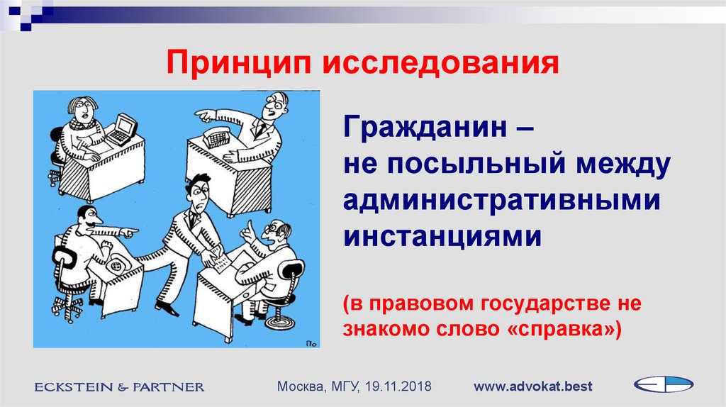 Принцип обследования. Принципы правового исследования. Принцип исследования для чего. Посыльный слово.