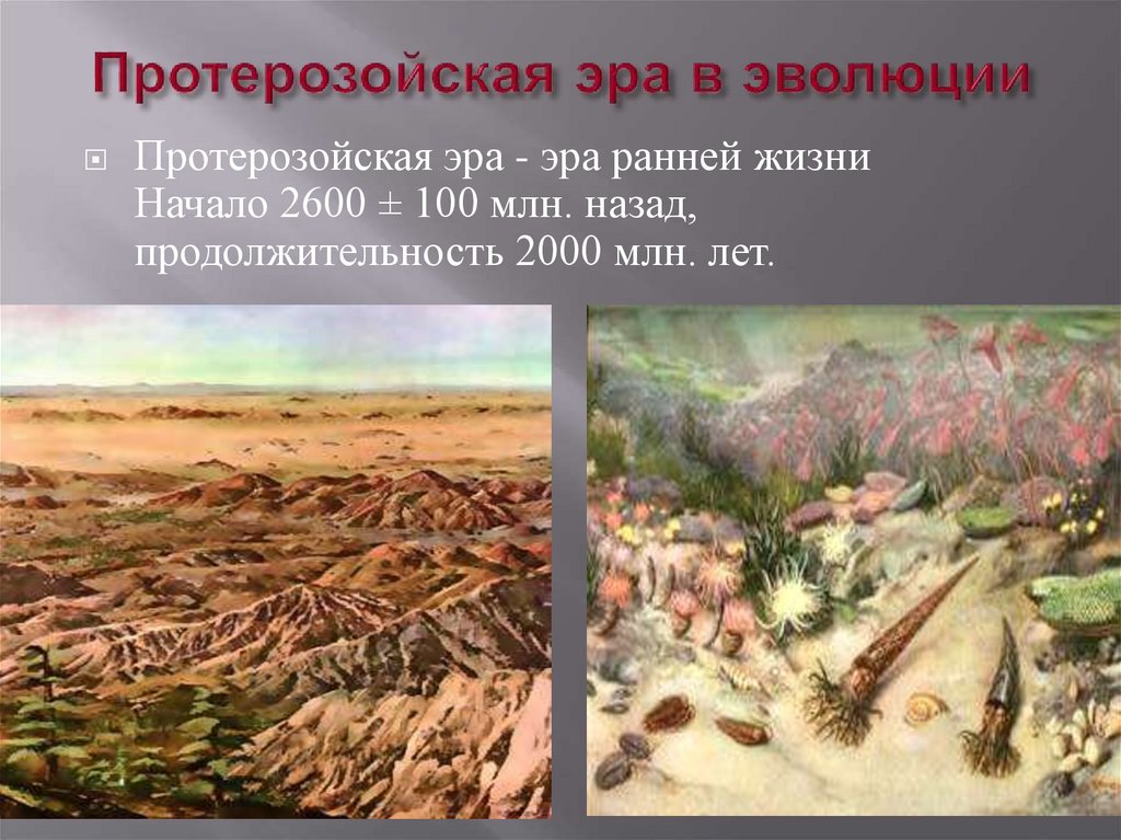 Органический мир архейской эры
