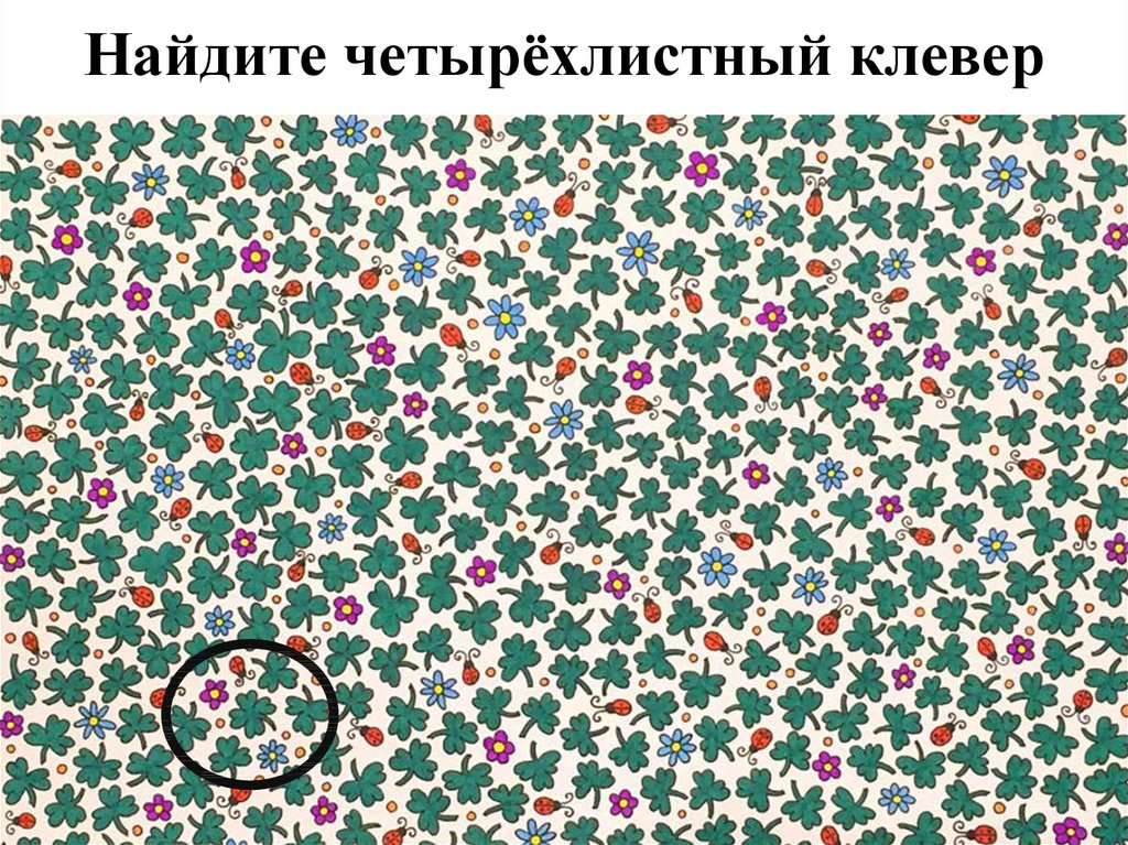 Найдите четырёхлистный клевер
