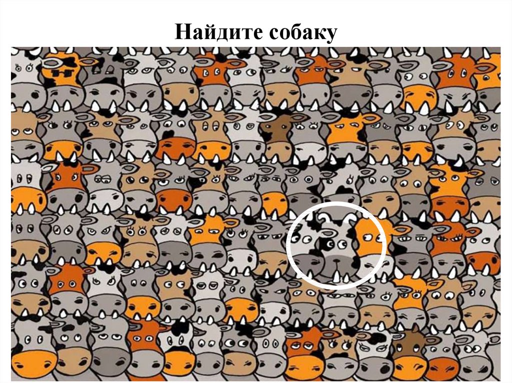 Найдите собаку